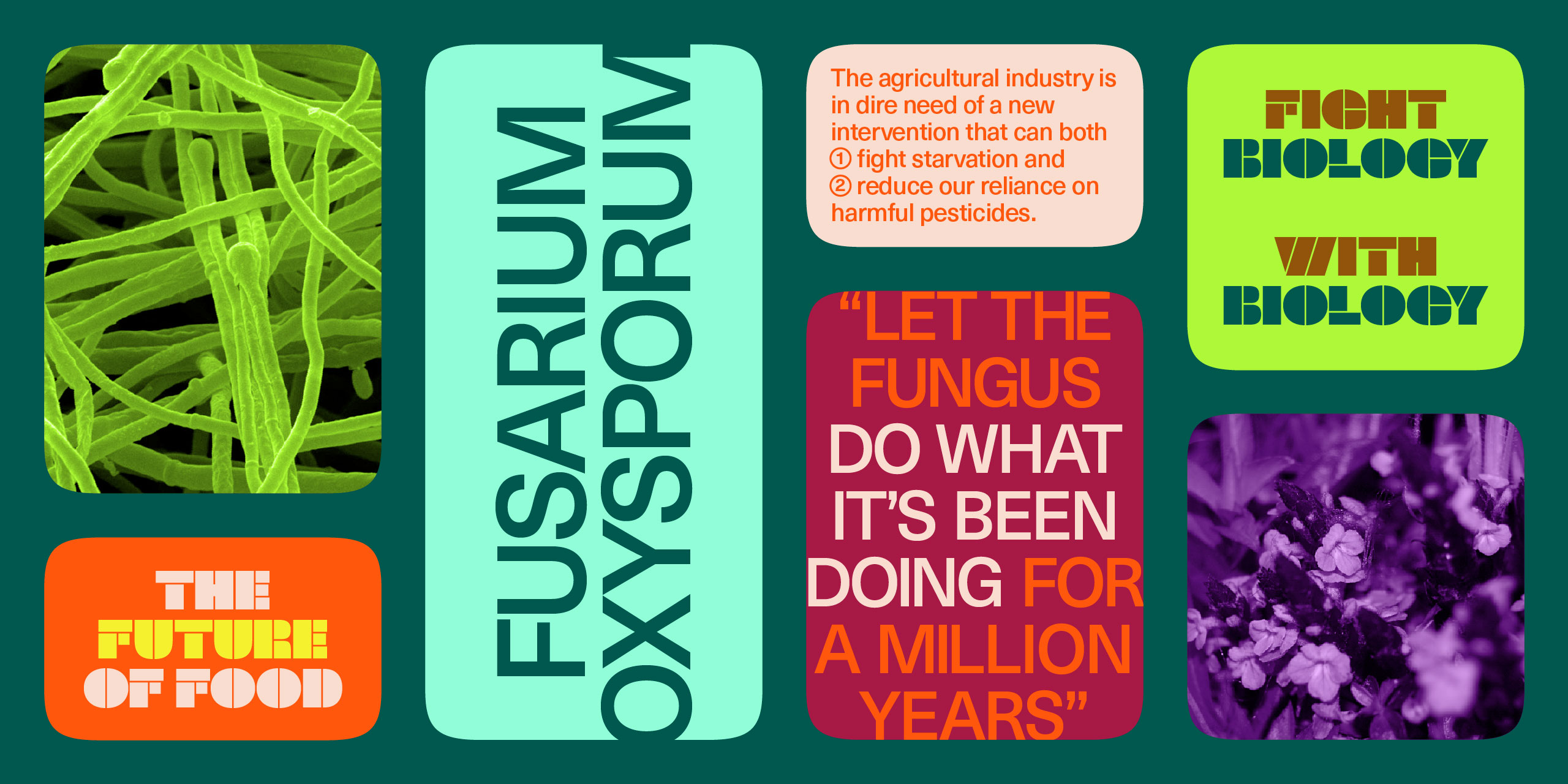 2023_01_KUVU_Type_ƒ