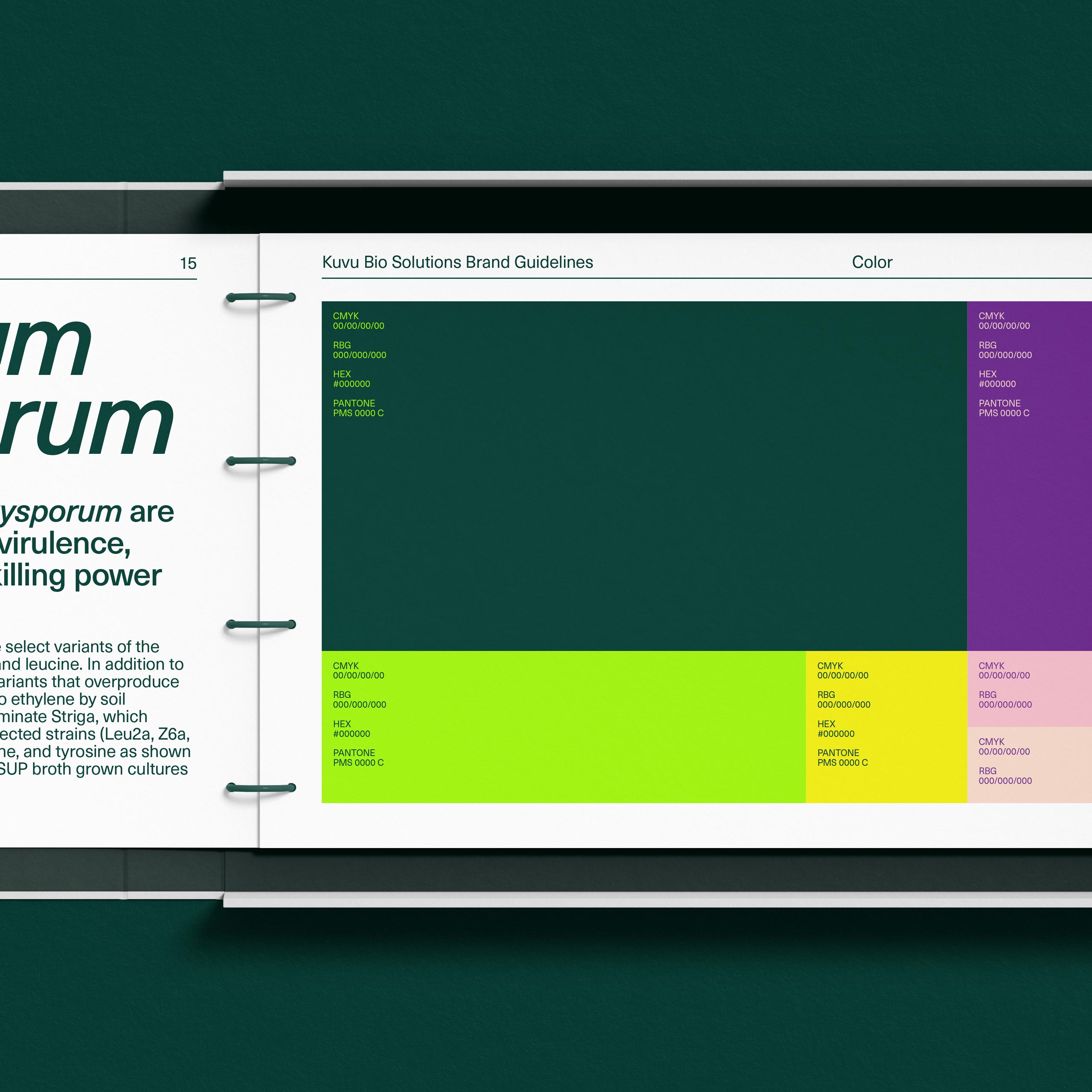 Binder-01-Standard-Mockups