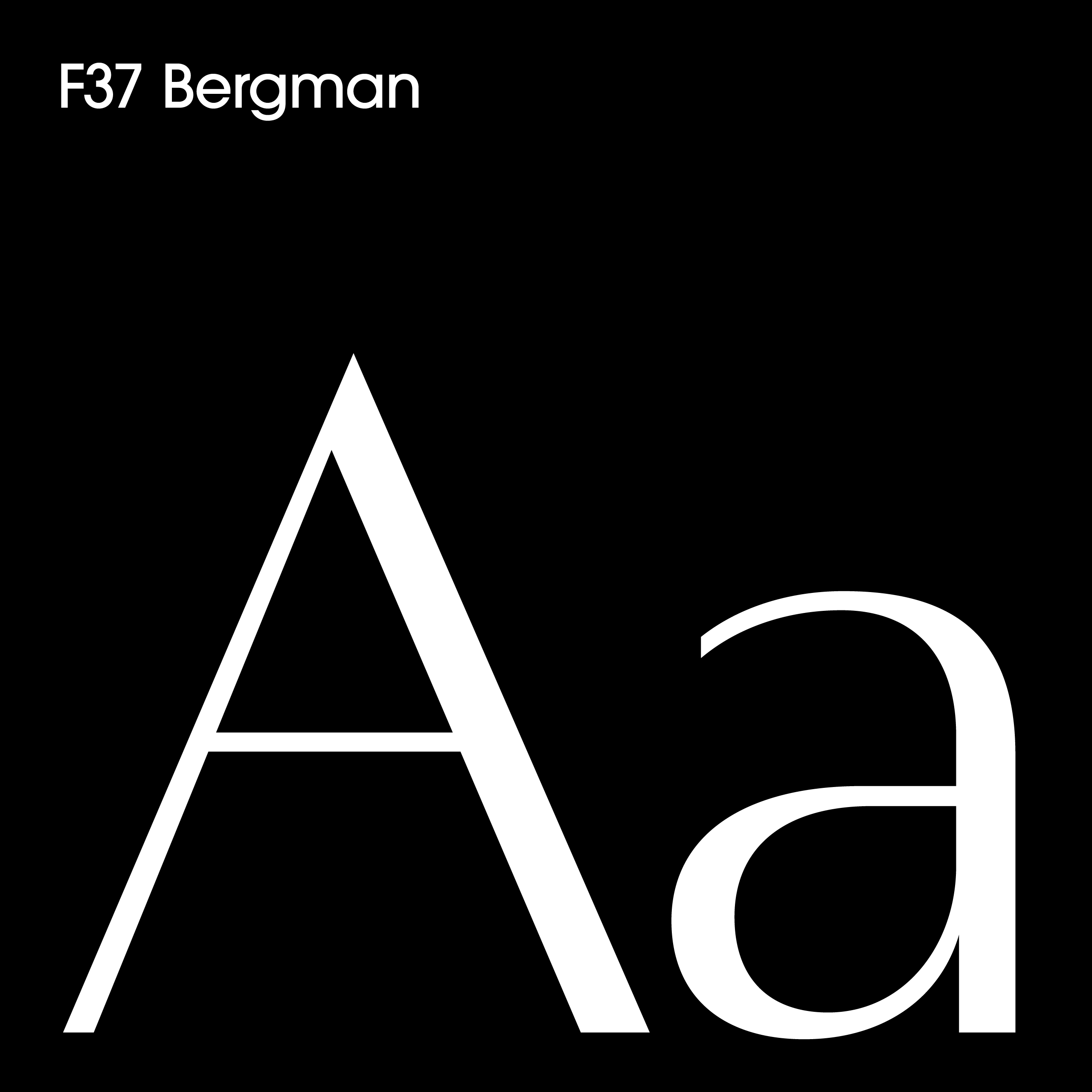 AluminaireHouse_Bergman