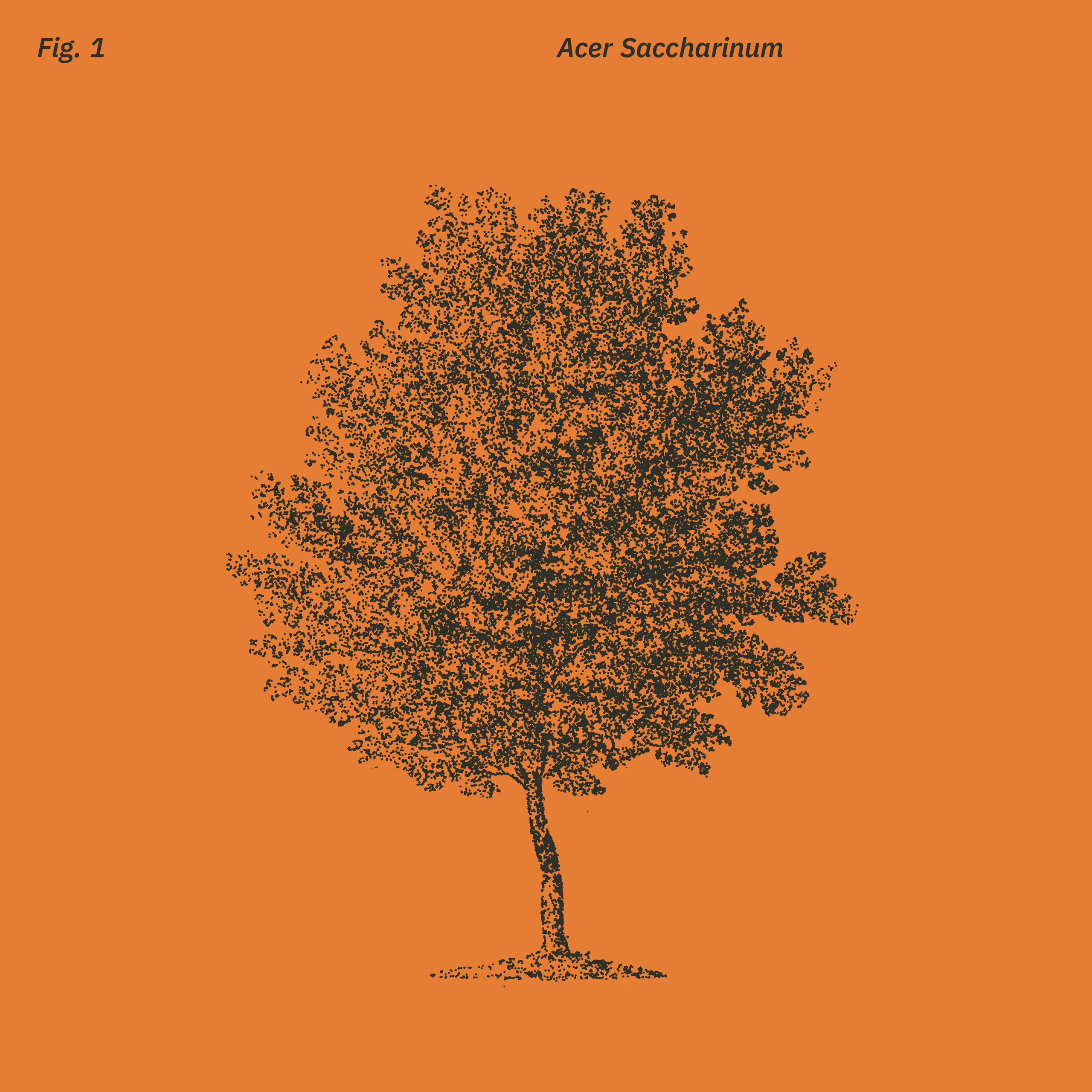 TheBookmatch_CaseStudy_13